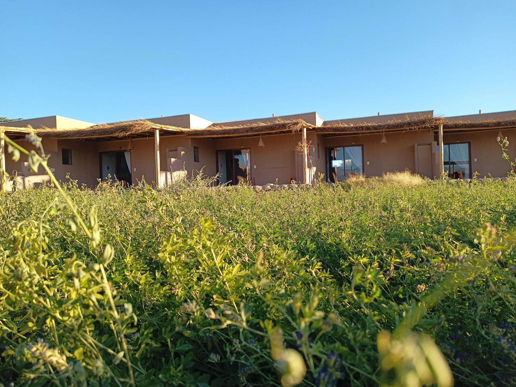 Tiunur Lodge Solor Bagian luar foto